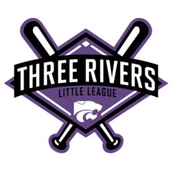 Perfect Tri ® Tee (+Name Option) Design